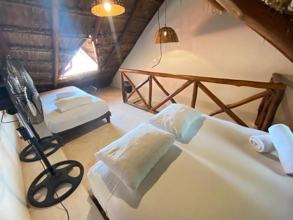 La Constanza De Rulo Ilha Holbox Exterior foto